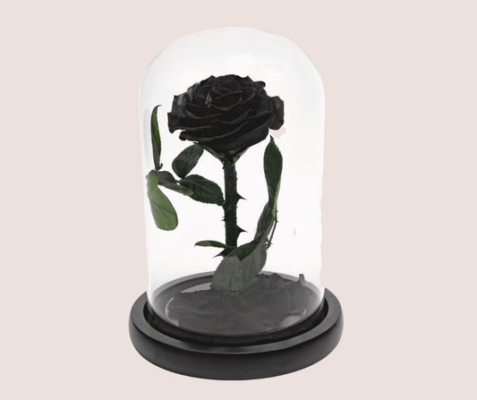 Everlast Rose medium