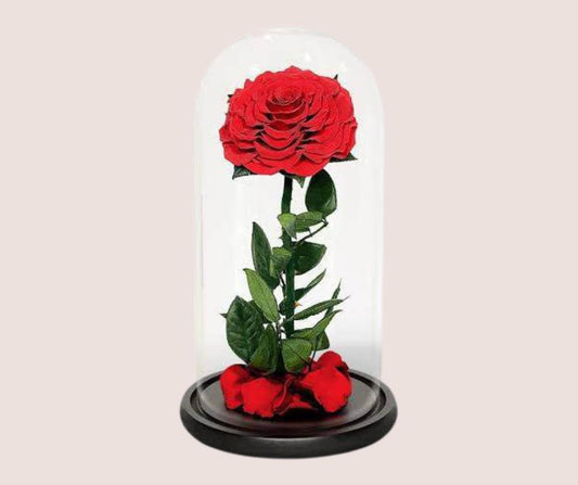 Everlast Rose Large